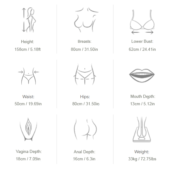 158cm-Medium-breast Sex Doll Measurements